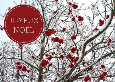 Joyeux Noel