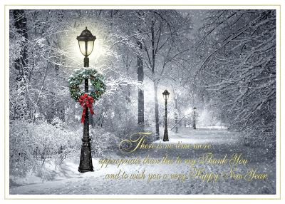 Park Lamp Posts