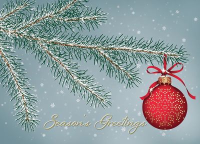 Red Ornament Hanging on Pine