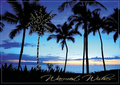 Palm Trees at Sunset