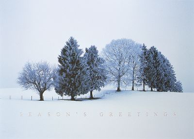 Trees
